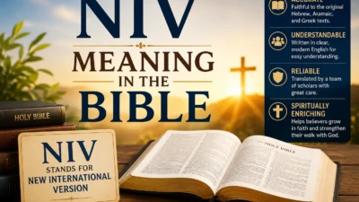 NIV Meaning in the Bible